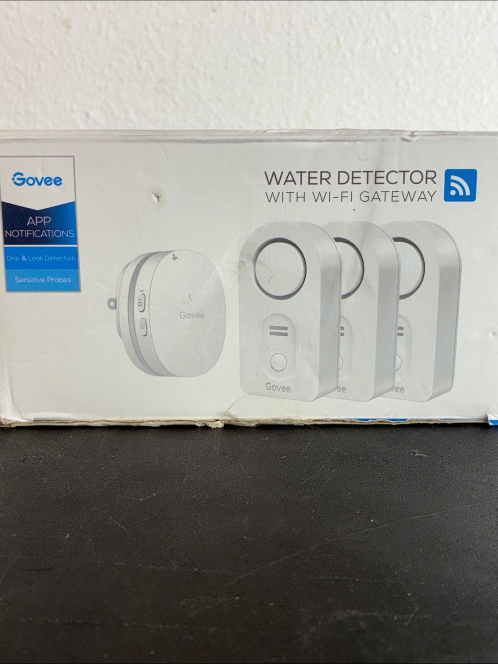 Govee White Water Detector with Wi‑Fi Gateway
